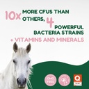 horse-probiotics-80cc-horse-paste-pre-an-4.jpg