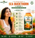 sea-buckthorn-juice-pure-himalayan-sea-b-71aVKG7u82L.jpg