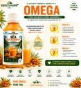 sea-buckthorn-juice-pure-himalayan-sea-b-710E0uRm3xL.jpg