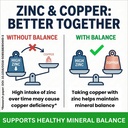 suplee-zinc-picolinate-with-copper-gluco-81+bc+kw+eL.jpg
