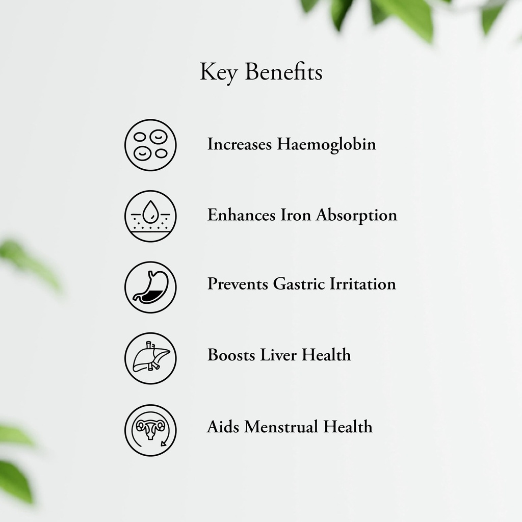 sitaram-ayurveda-ta-tablet-natural-iron--713lzwEgueL.jpg