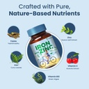 zeroharm-iron-zinc-folic-acid-vitamin-b1-61s4Fehu-LL.jpg