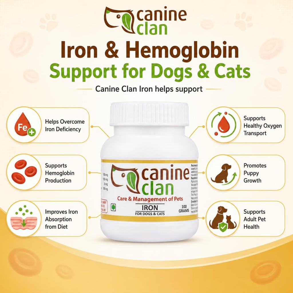 iron-for-dogs-cats-for-lethargy-pale-gum-61OTSvoZdIL.jpg