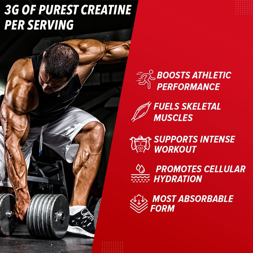 gnc-pro-performance-creatine-monohydrate-71VkWNRN7QL.jpg