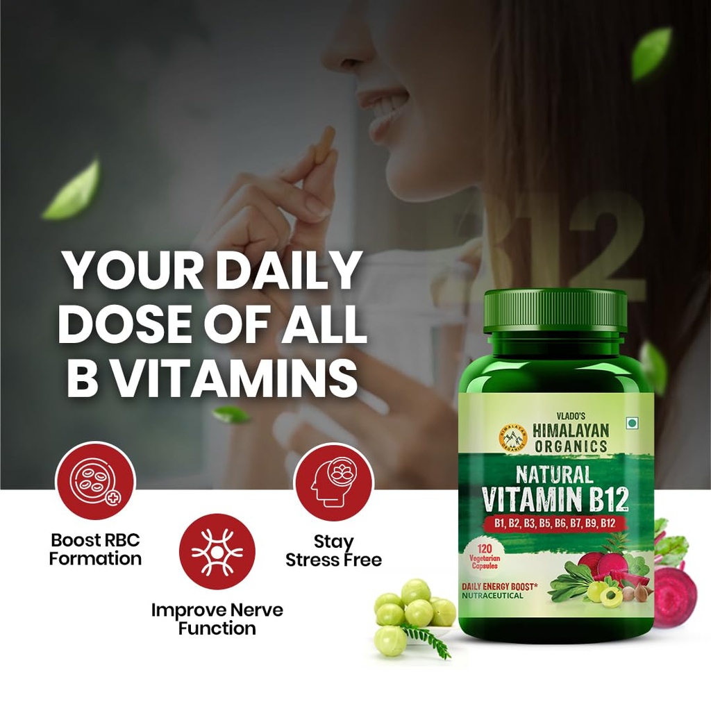 vlado-s-himalayan-organics-zinc-citrate--61PCgfE93KL.jpg