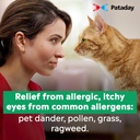 pataday-once-daily-relief-allergy-eye-dr-6.jpg