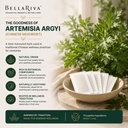 detox-foot-pads-with-powerful-artemisia--71+Ix7k2SOL.jpg
