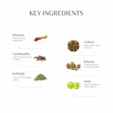 jivanta-body-detox-kit-sachets-pack-of-6-71L+HqEpQiL.jpg