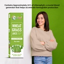 nutriorg-wheat-grass-juice-250ml-natural-71BxILmjVlL.jpg