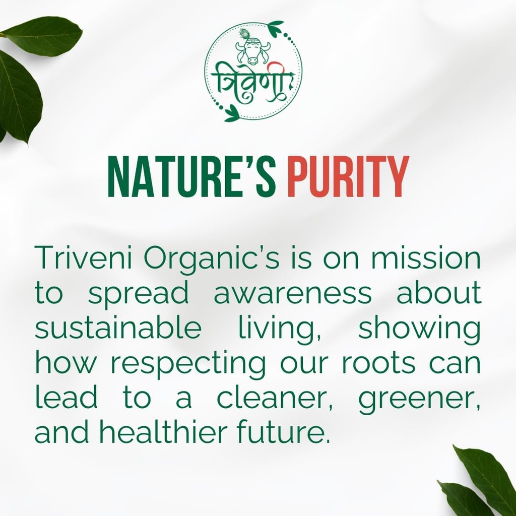 triveni-organics-baheda-powder-natural-a-61aKF6+CY8L.jpg