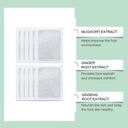 foot-patch-herbal-and-gentle-ingredient--510czFLzzXL.jpg
