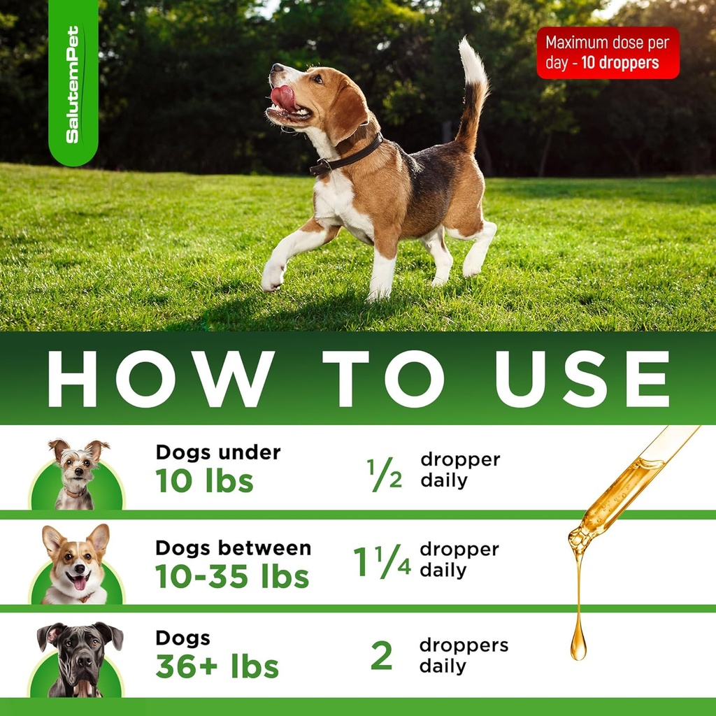 natural-antibiotics-for-dogs-dog-antibio-4.jpg