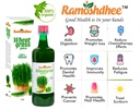 wheatgrass-juice-detoxifier-for-healthy--61oqyKSCZjL.jpg