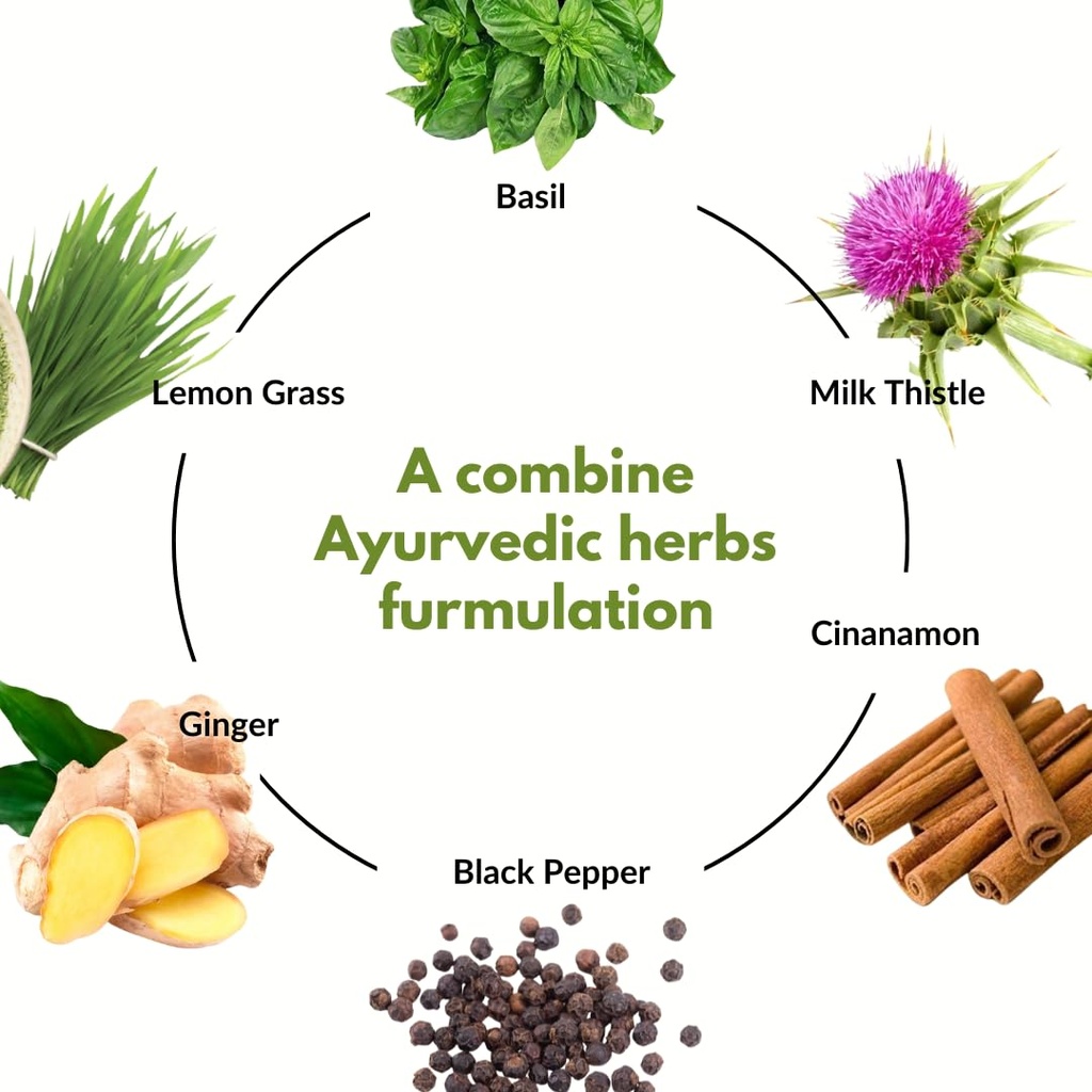 rejuvatox-juice-herbal-detox-cleansing-d-61-F8gXpEZL.jpg