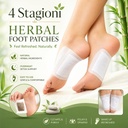 herbal-foot-patches-pack-of-2-20-pairs-n-71KoBci1GqL.jpg