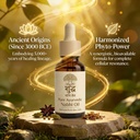 nabhi-oil-belly-button-oil-drops-with-ay-71Vc2zZD5sL.jpg