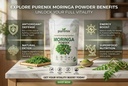moringa-powder-400-g-100-natural-moringa-71PUmDKa62L.jpg