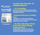 trexgenics-micronized-creatine-monohydra-81xpN6J+WhL.jpg