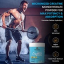 naturyz-pure-micronized-creatine-monohyd-71WC7di1DDL.jpg