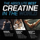 creatine-creatine-supplement-for-muscle--71oOkV5XWvL.jpg
