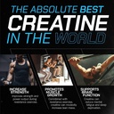 high-performance-creatine-monohydrate-bo-71+nx7Gr1iL.jpg