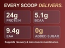 muscle-stack-whey-protein-500g-creatine--51tzgzdf7wL.jpg