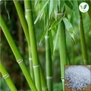iagrifarm-banslochan-250-g-vanslochan-ta-81OEyPlmSyL.jpg