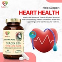 niacin-nicotinic-acid-moderate-dose-low--61q7oUL0WQL.jpg