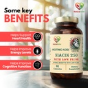 niacin-nicotinic-acid-moderate-dose-low--61DfqDClr3L.jpg