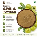 carmel-organics-amla-fruit-powder-340-gr-71qT8jE8RQL.jpg