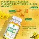 3-pack-9-in-1-mullein-gummies-for-lung-c-6.jpg