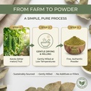 biotic-organic-karela-powder-eating-bitt-61WbY4T13yL.jpg
