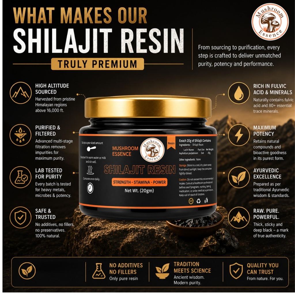 shilajit-resin-purified-himalayan-shilaj-81oK4iczs9L.jpg