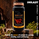 knoll-healthcare-shilajit-shilajeet-ener-71nAMIUgjtL.jpg