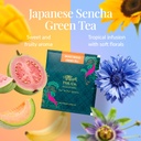 tgl-co-mogo-mogo-green-tea-infusion-frui-718YCmFQ+BL.jpg