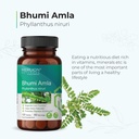 merlion-naturals-bhumi-amla-tablets-phyl-81hGMFWTZEL.jpg