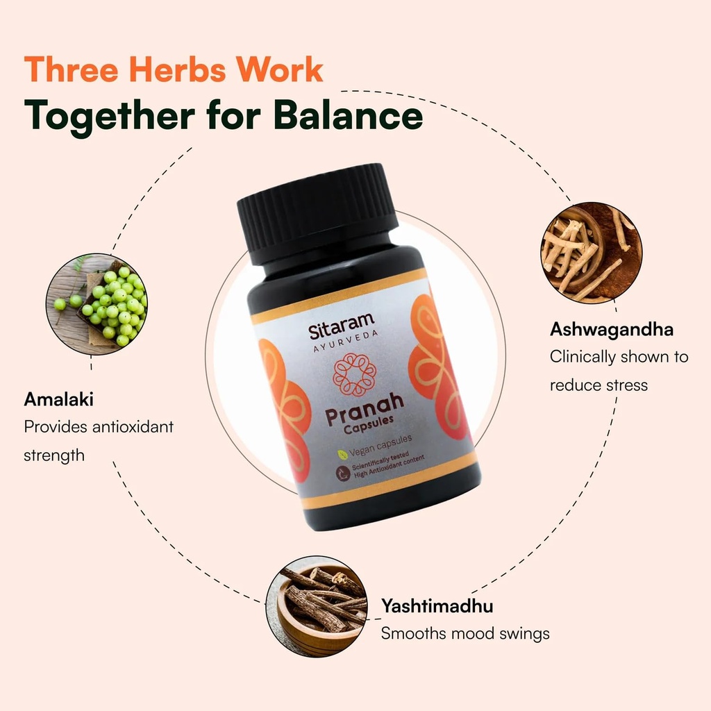 sitaram-ayurveda-pranah-capsules-ayurved-61FQdO5kmkL.jpg