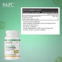 inlife-garcinia-cambogia-1600mg-hca-over-71mPEvUObsL.jpg