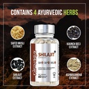 nirvasa-pure-shilajit-shilajeet-800mg-60-71VhB24bpeL.jpg