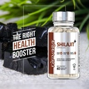 nirvasa-pure-shilajit-shilajeet-800mg-60-61aOZ6spHvL.jpg