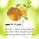 celest-ginger-mint-lemon-green-tea-400-t-8161Tpp86aL.jpg