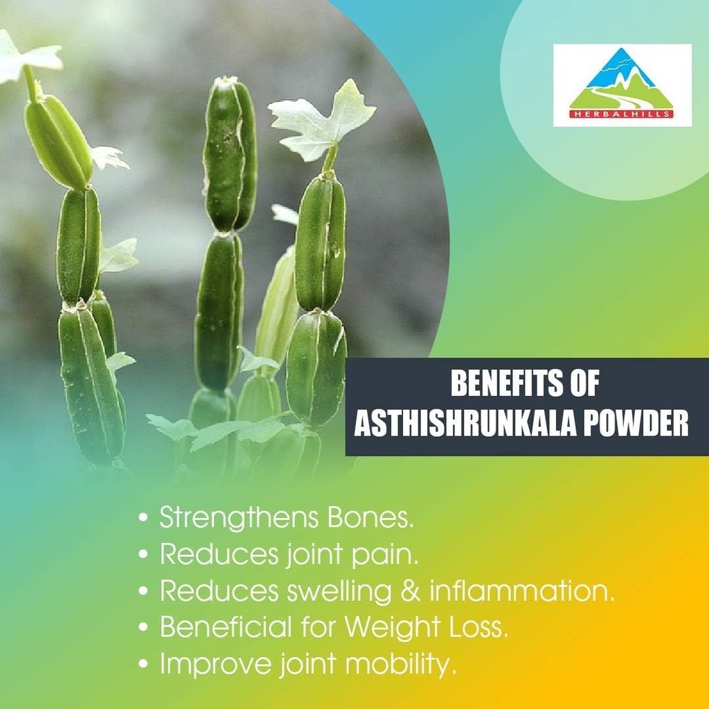 herbal-hills-asthishrunkala-powder-cissu-61ksaSd1M0L.jpg