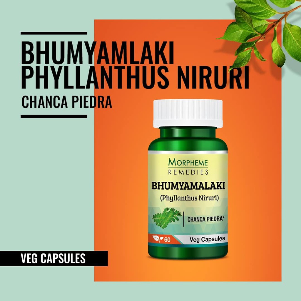 morpheme-remedies-phyllanthus-niruri-bhu-61novsVk+KL.jpg