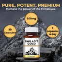 zeroharm-nano-shilajit-gold-capsules-pur-71bbHCCmgVL.jpg