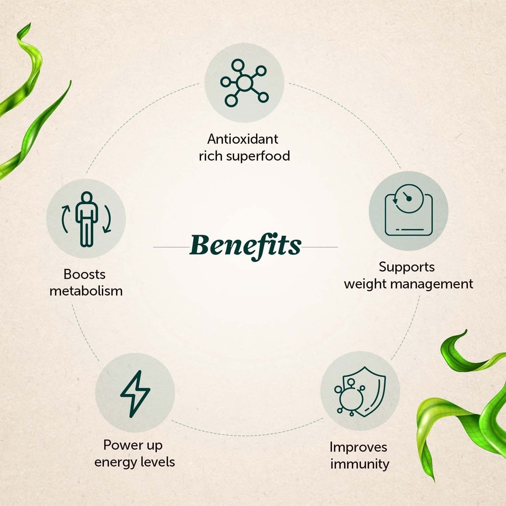 neuherbs-spirulina-1000mg-per-serving-12-61RyR7KR9QL.jpg