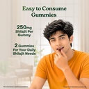 a-tata-product-organic-india-shilajit-gu-81jrM1GSp3L.jpg