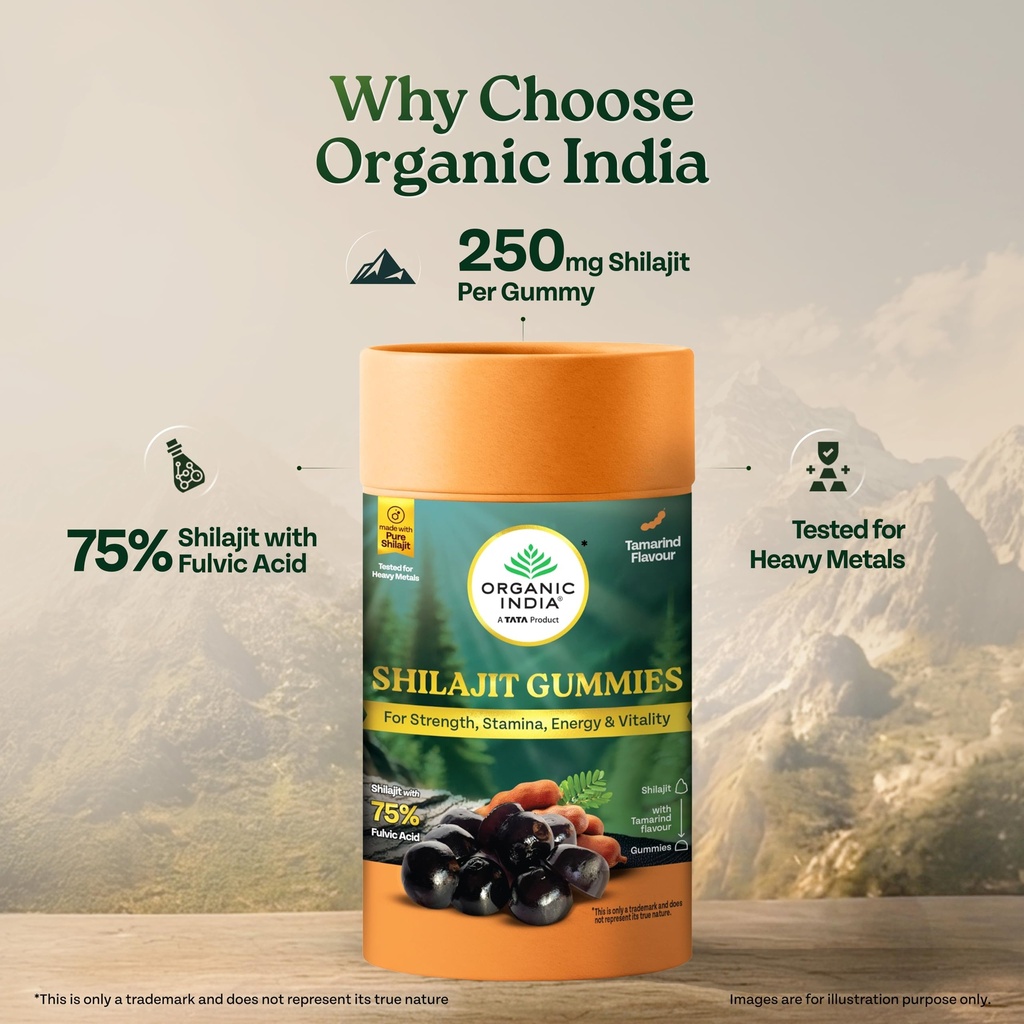 a-tata-product-organic-india-shilajit-gu-8190CwpMubL.jpg