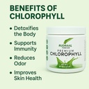 rudraa-forever-chlorophyll-powder-100gm--61oBDpLj57L.jpg