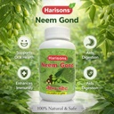 neem-gond-powder-natural-neem-resin-for--71XnnIQyfJL.jpg