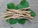 farmfresh-giloy-sticks-stems-giloy-stick-91s9WwqB5tL.jpg